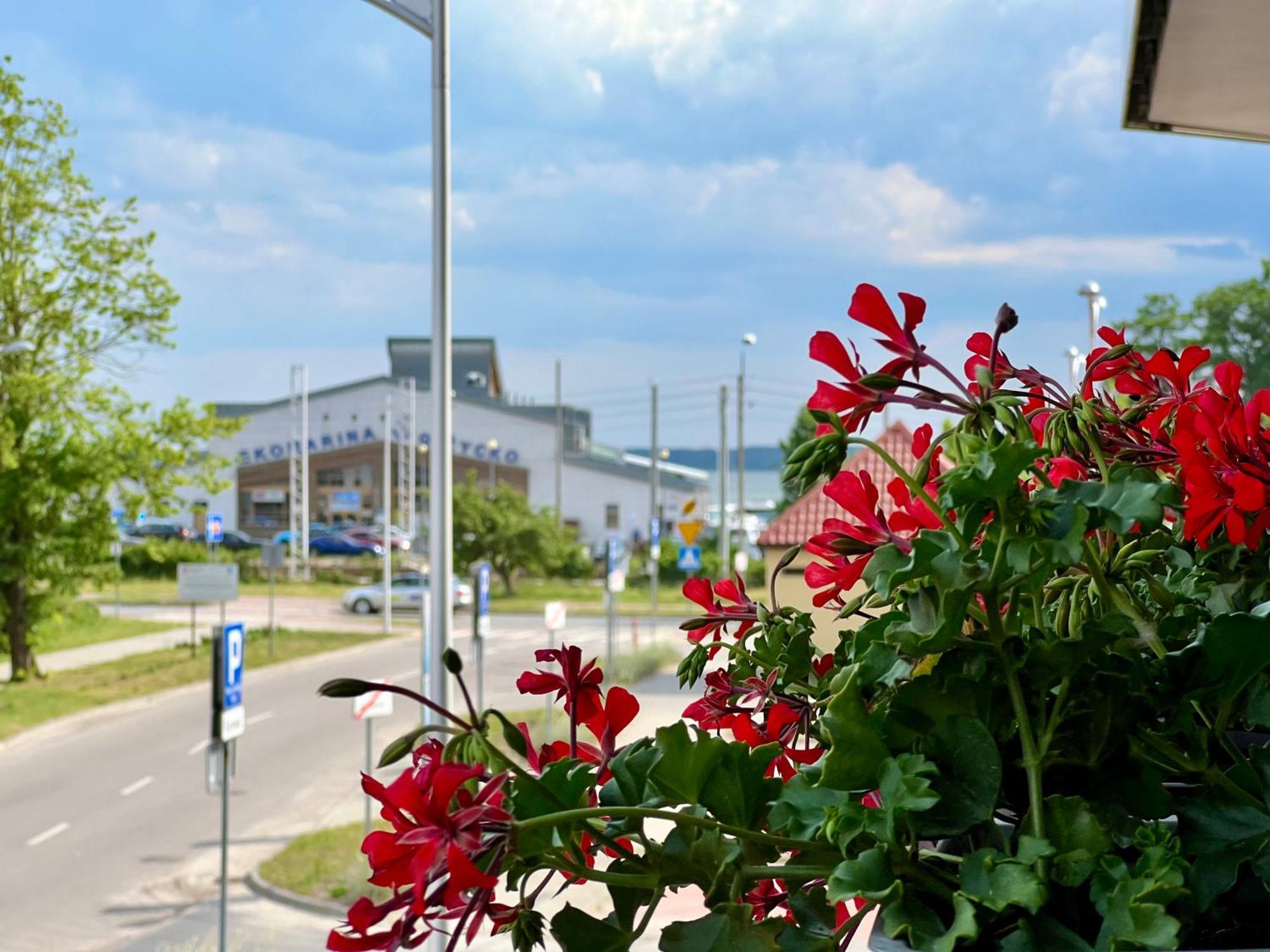 Artystyczna Przestrzen - Marina Apartment *
